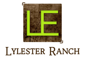 Lylester Ranch | Angus Genetics for Every Herd